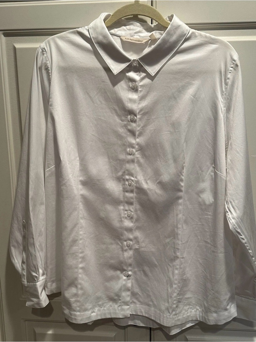 1X White Button Down Shirt from Soft Surroundings